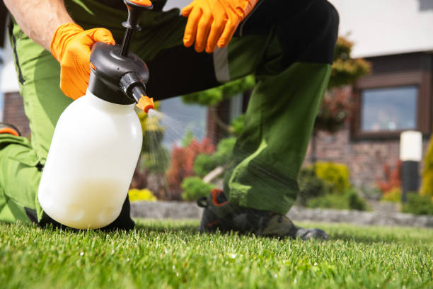 Flea Control Services in Horseheads North, NY