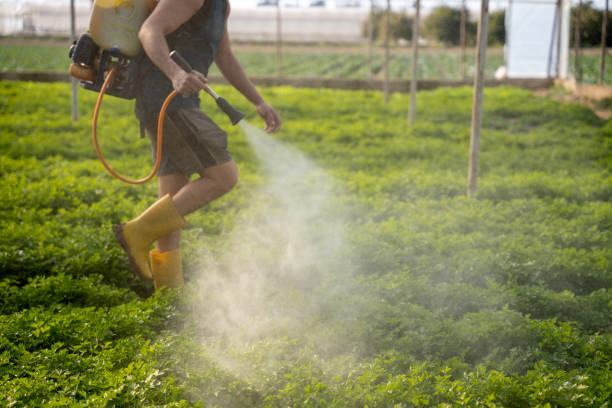 Best Best Pest Control Companies  in Horseheads North, NY