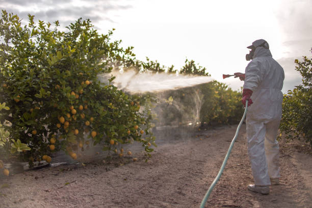 Best Emergency Pest Control  in Horseheads North, NY