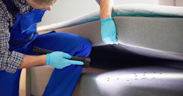 Best Exterminator Services  in Horseheads North, NY
