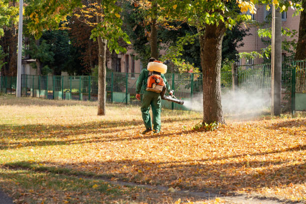 Wildlife Control Services in Horseheads North, NY
