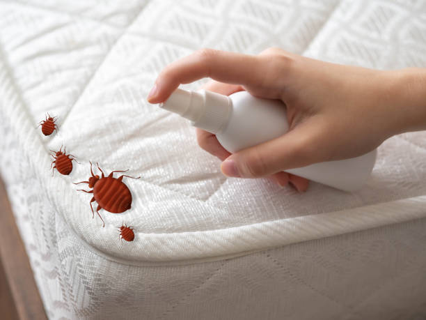 Best Flea Control Services  in Horseheads North, NY