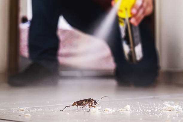Best Bed Bug Extermination  in Horseheads North, NY