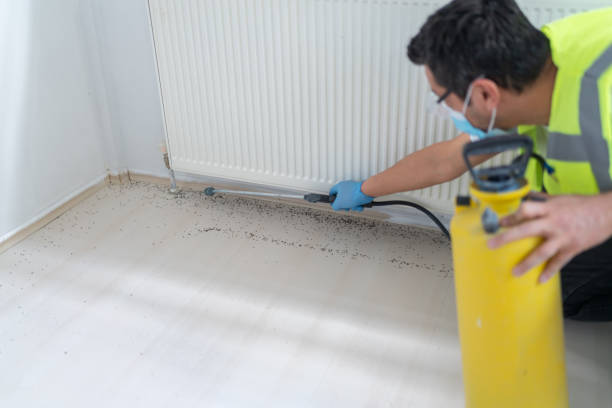 Best Bed Bug Extermination  in Horseheads North, NY