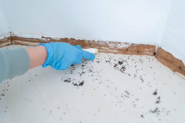 Best Wildlife Control Services  in Horseheads North, NY